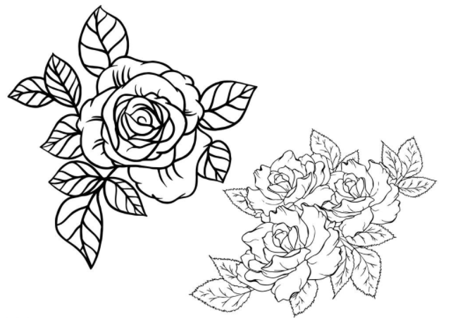 玫瑰花素描教程，让你轻松学会玫瑰花的绘画技法