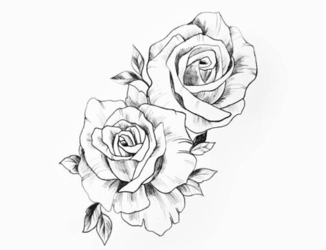 玫瑰花素描教程，让你轻松学会玫瑰花的绘画技法